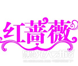 杭州红蔷薇摄影工作室企业相册