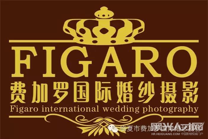 临夏费加罗国际婚纱摄影企业相册